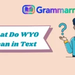 What Do WYO Mean in Text